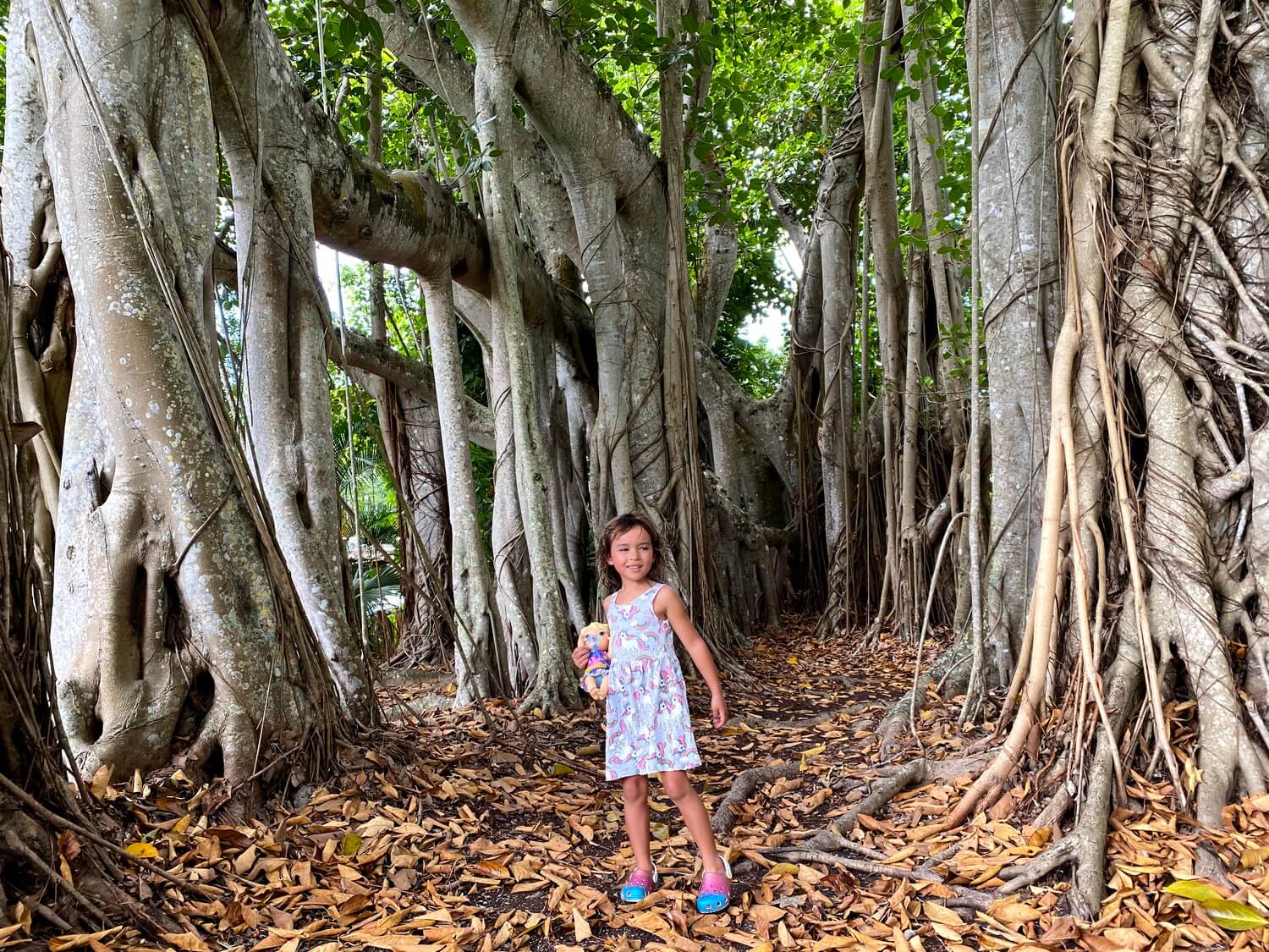 Elyse in a banyan tree forest