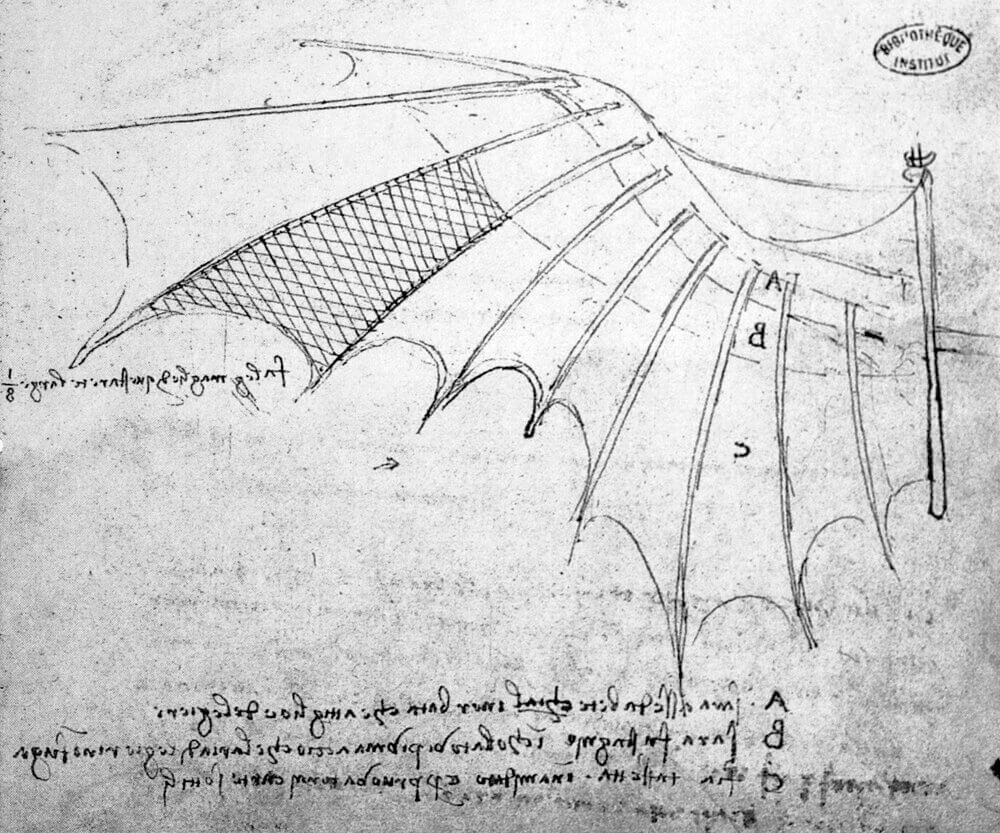 The wings of Da Vinci's ornithopter