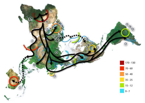 Dymaxion projection