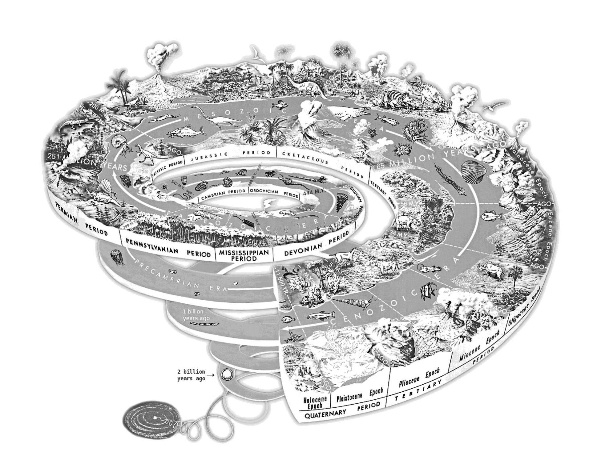 Evolution's upward spiral