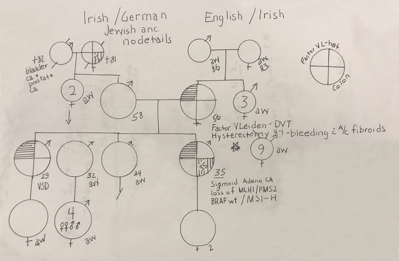 My genetic history as diagrammed by my geneticist