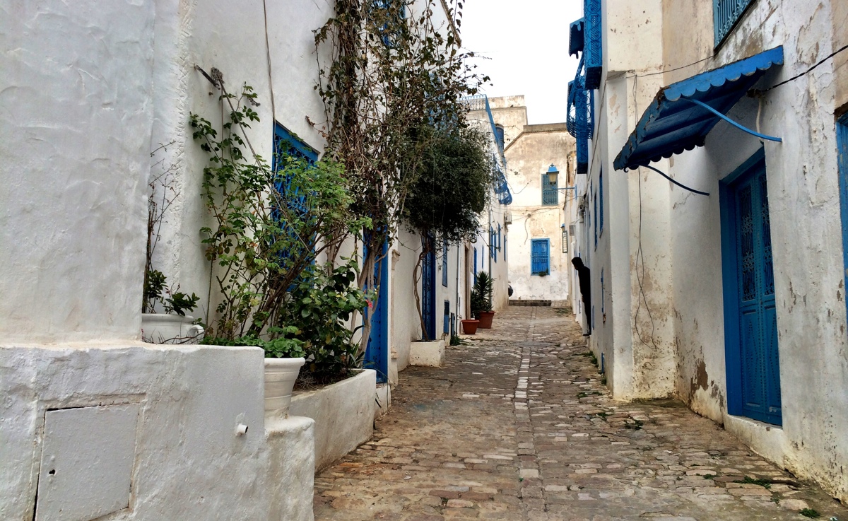 Sidi Bou SaĂŻd