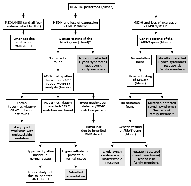 A testing algorithm for Lynch syndrome (Goodenberger & Lindor, 2011.)